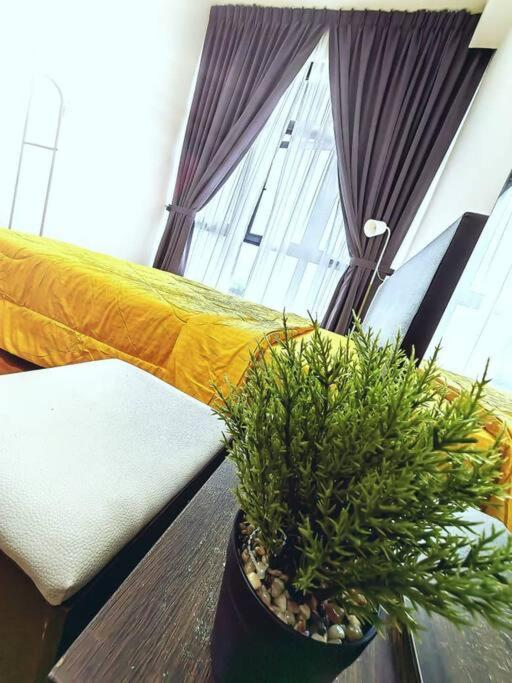Apartemen Paradigm Residence/familysuite/3bed-12pax/linkmall *